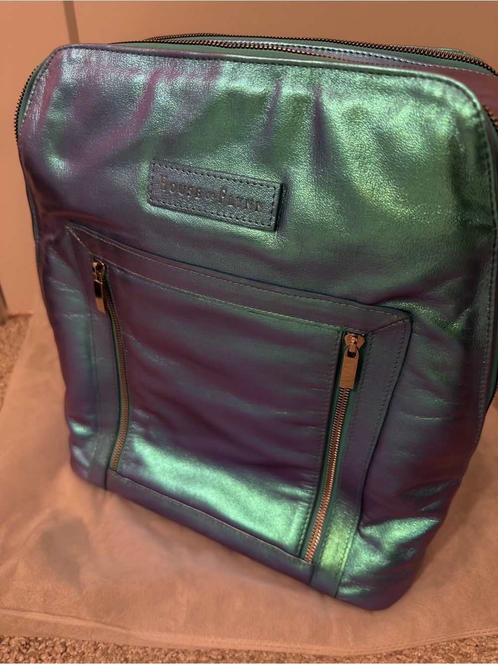 House Of Flynn Color Shifting Camera Backpack